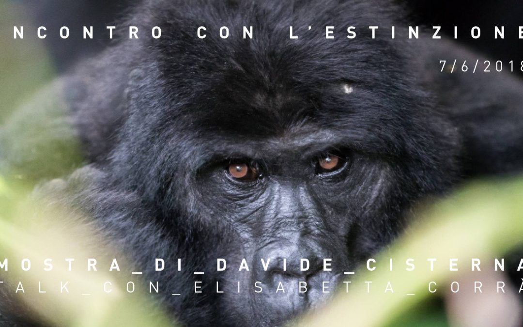 Incontro con l’estinzione. Gli ultimi gorilla di montagna dell’Uganda