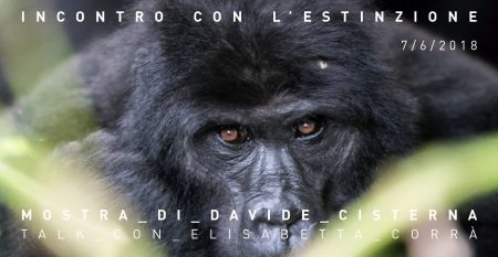 Gli ultimi gorilla di montagna dell’Uganda