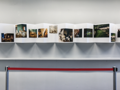 Curatela, organizzazione e comunicazione di mostre fotografiche – Workshop