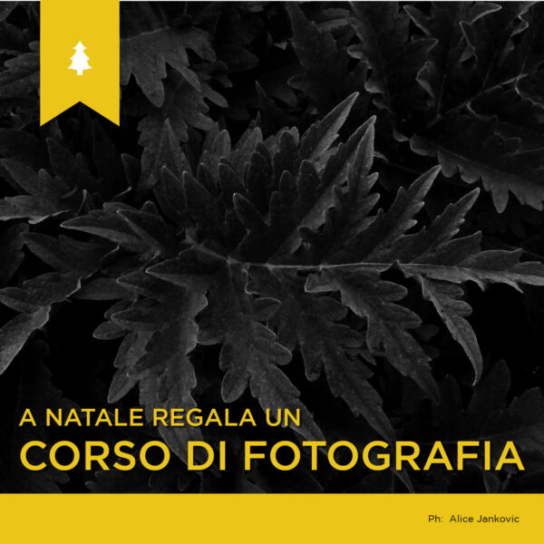Natale 2021 IIF Milano_regala corso fotografia