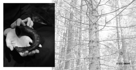 FB – Bibbiena2