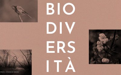 Mostra collettiva “Biodiversità: il motore della vita”