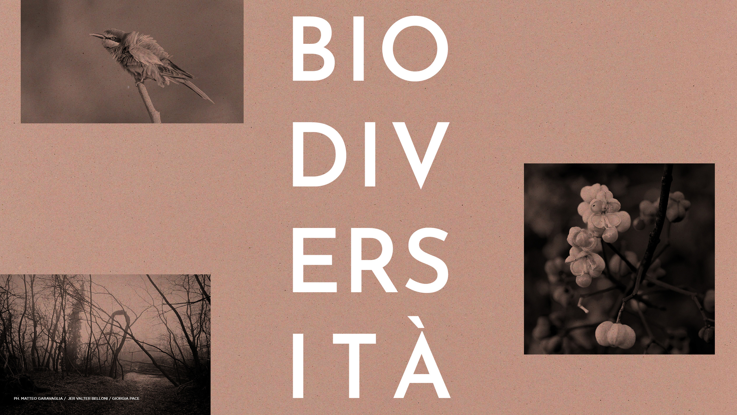 Biodiversità