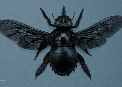 Mostra collettiva “Volare! Fra terra e cielo”