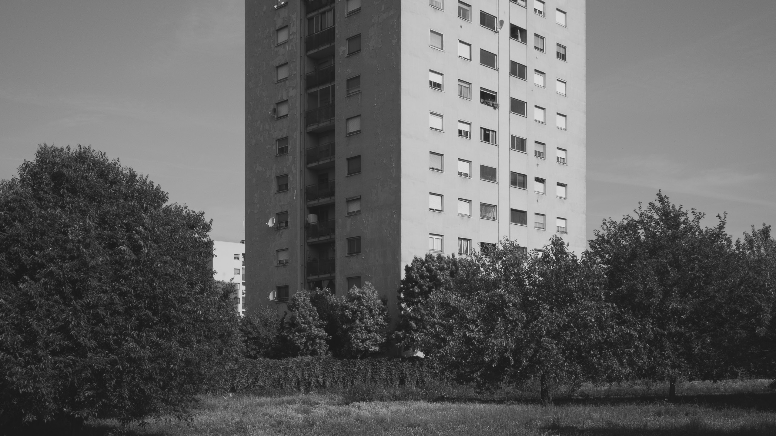 Reconcilitio di Gaia Bianchi