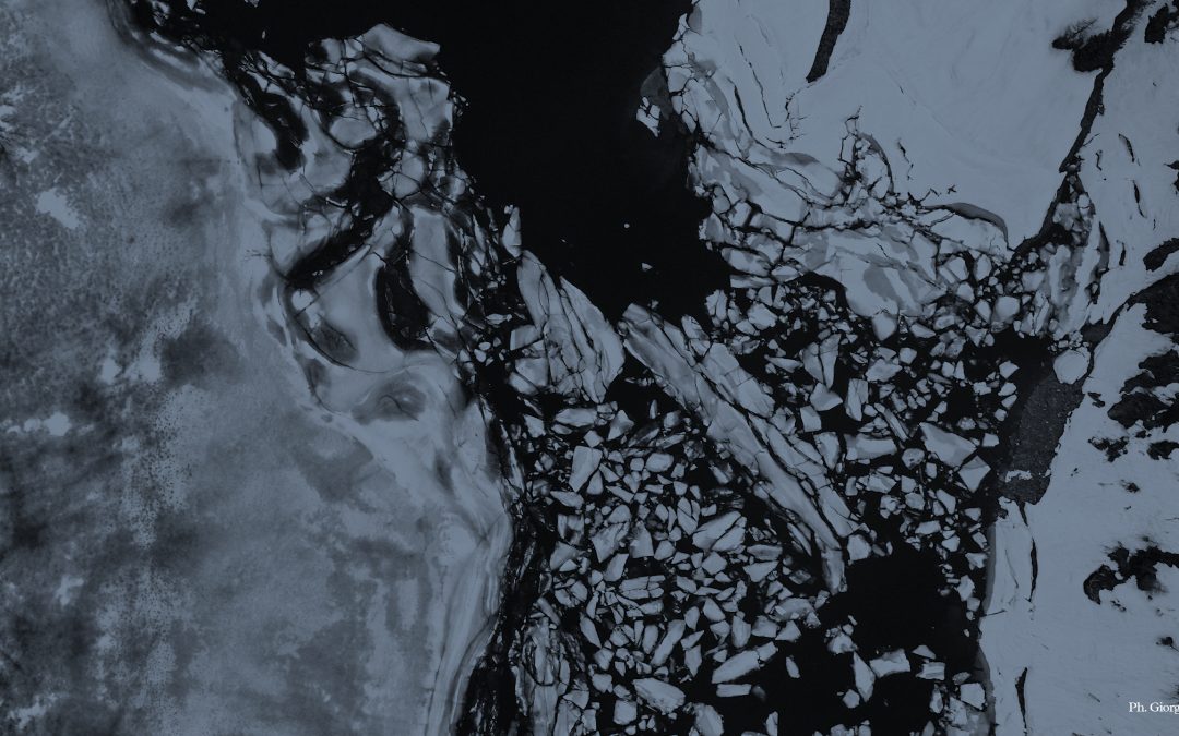 Mostra collettiva – La forma dell’acqua