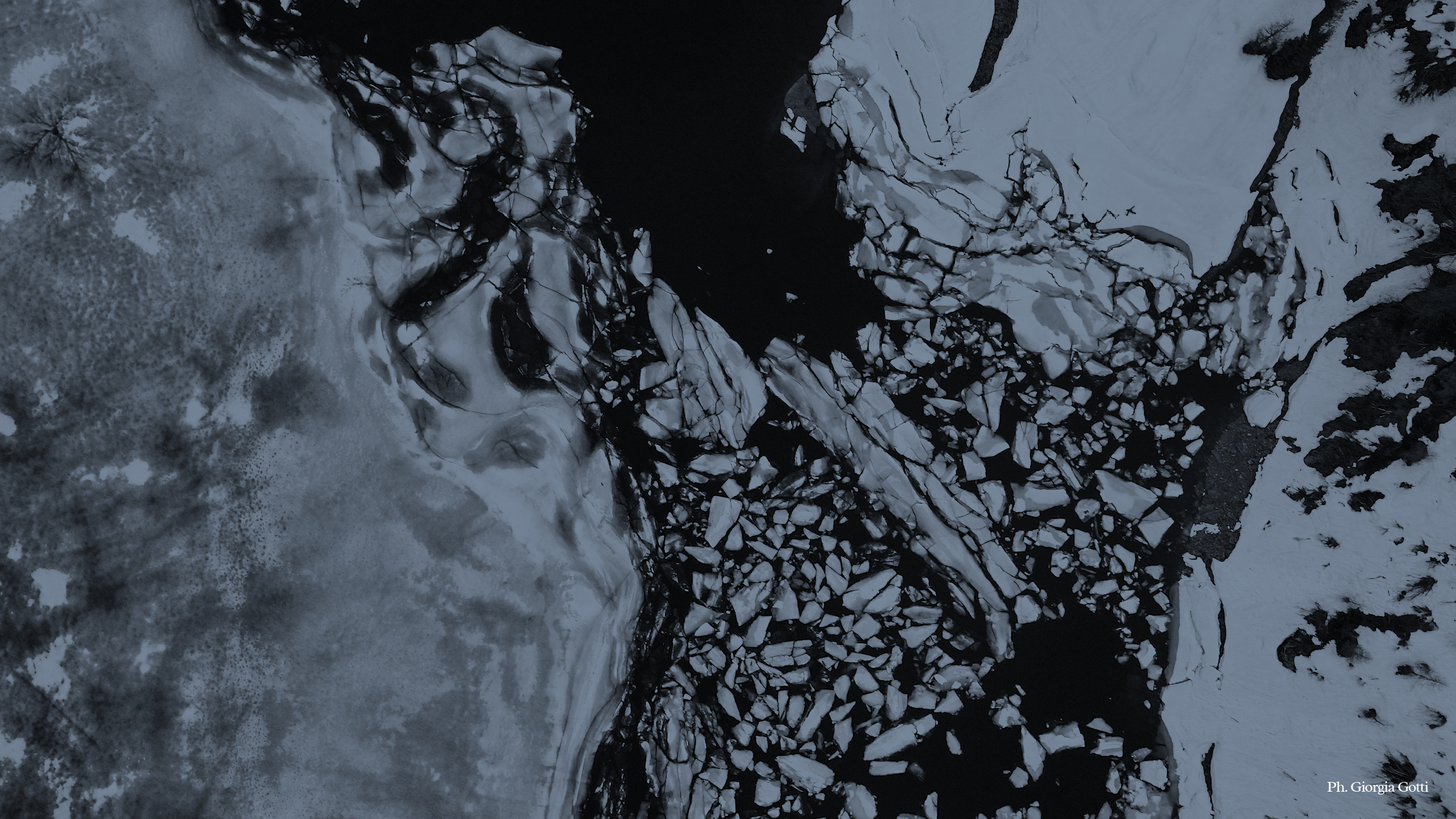 Mostra collettiva – La forma dell’acqua